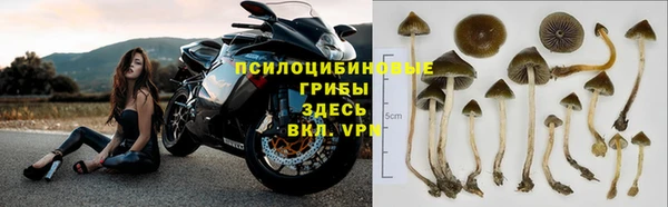эйфоретик Зеленодольск