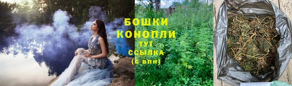 шишки Лабытнанги