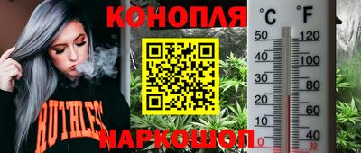 ПСИЛОЦИБИНОВЫЕ ГРИБЫ Лесосибирск