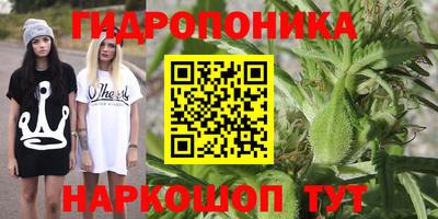 ПСИЛОЦИБИНОВЫЕ ГРИБЫ Лесосибирск