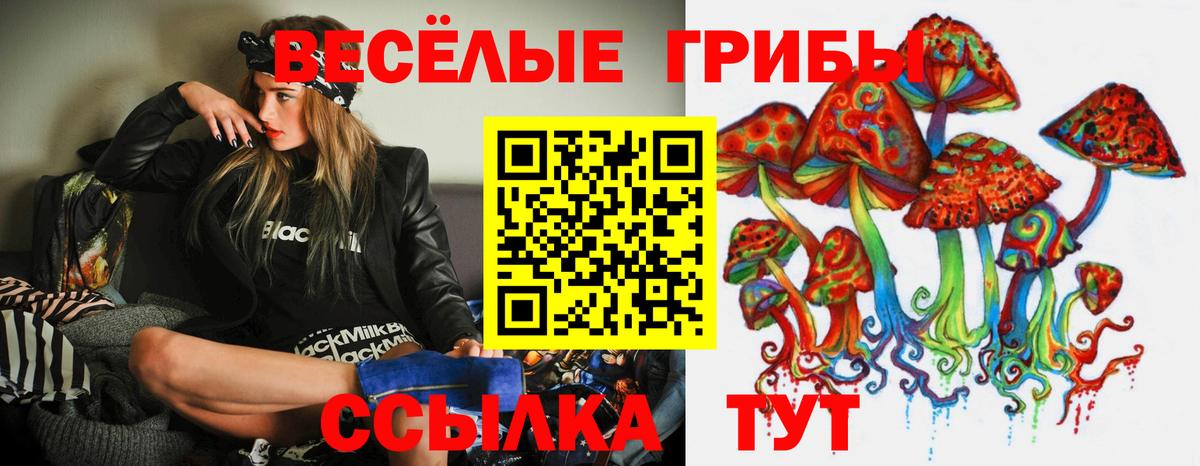 Псилоцибиновые грибы GOLDEN TEACHER Ивантеевка
